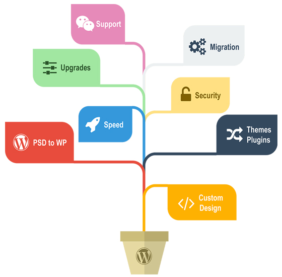 Hire Wordpress Developers